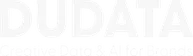 DuData — Creative Data & AI for Brands
